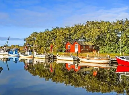بيت للعطل C11423-skjern-klitrosevej-32 Skjern