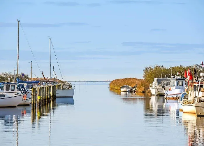 C11423-skjern-klitrosevej-32 * Skjern